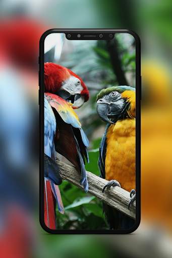 Bird Wallpaper screenshot 3