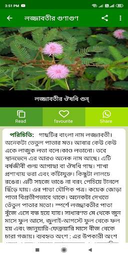 ঔষধি গাছের উপকারিতা - Medicinal Plant & রোগ নিরাময় screenshot 4