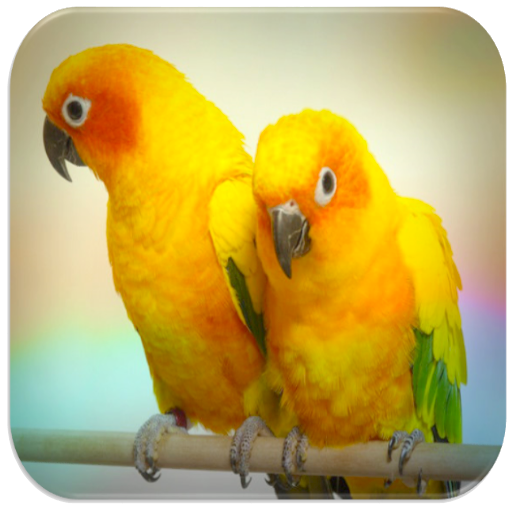 Parrot sounds icon