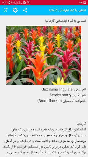 گل و گیاهان اپارتمانی   پرورش و نگهداری screenshot 4