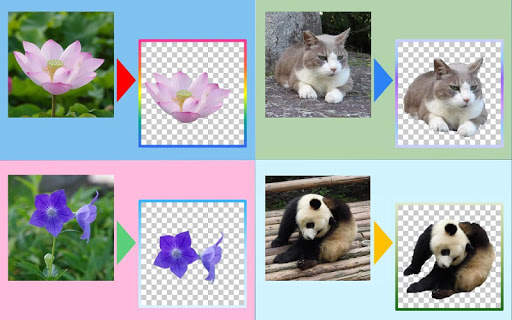 Photo Cutter Pro screenshot 1
