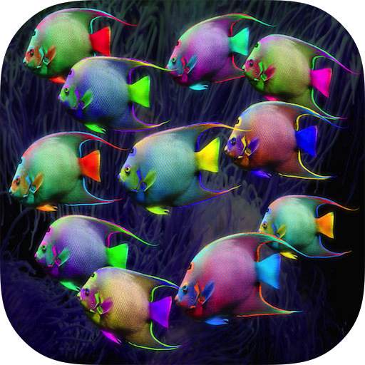 Fish HD Wallpaper 1.0.3