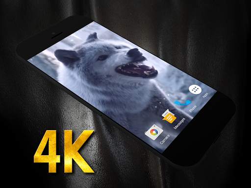 Wolf Video Live Wallpaper screenshot 1