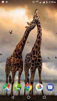 Wild Animal Wallpapers HD 8 تصوير الشاشة
