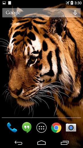 Tiger Live Wallpaper FREE screenshot 1