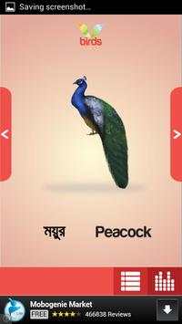 Birds स्क्रीनशॉट 3