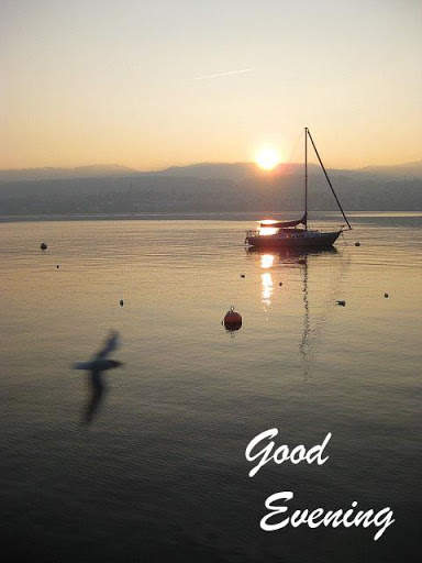 Good Evening Images 3 تصوير الشاشة