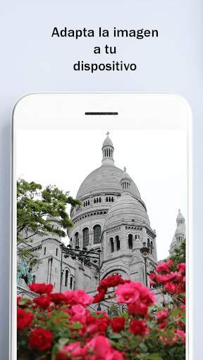 Fonds d'écran HD4K pour Whatsapp screenshot 4