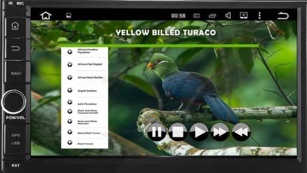 African Bird Songs screenshot 1