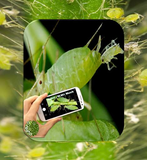 Pest Detector screenshot 1