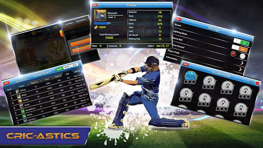 CricAstics 3D Multiplayer Cric screenshot 6