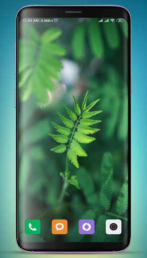 Plants Wallpaper HD screenshot 9