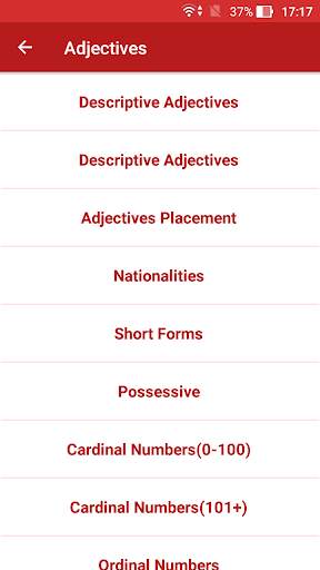 Spanish Grammar Offline screenshot 2