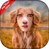 Dog Photo Editor logo