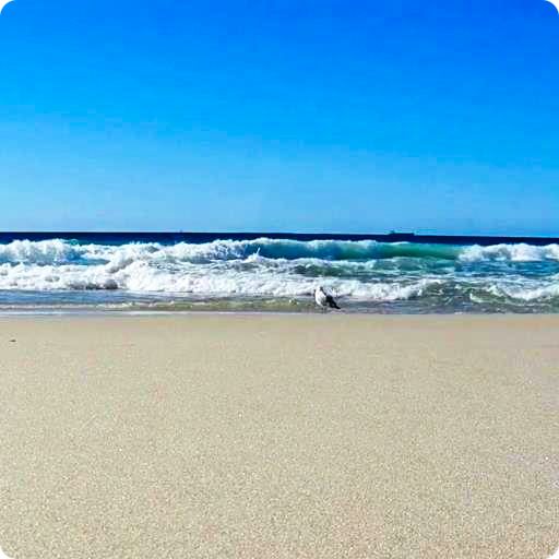 Ocean Waves Live Wallpaper HD8 icon