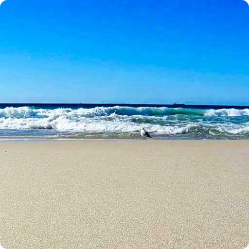 Ocean Waves Live Wallpaper HD8 4.0