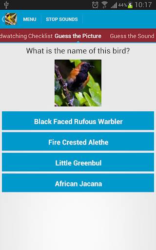 African Birds Sounds Free screenshot 4