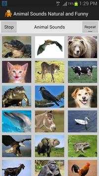 Funny Animal Sounds screenshot 1