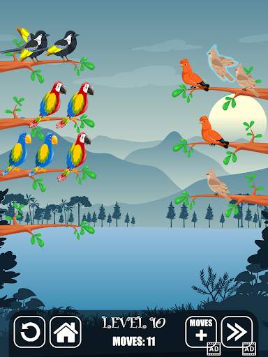 Bird Sorting Fun Puzzle Game screenshot 8