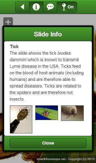 smart Microscope Lite screenshot 4