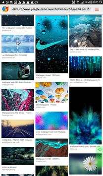 Icefox - Lightweight and Fast Browser screenshot 2