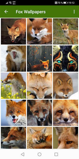Fox Wallpapers screenshot 12