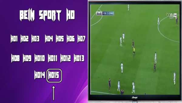 guide for beIN sport channel screenshot 3
