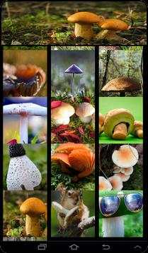 Mushroom Live Wallpaper screenshot 4
