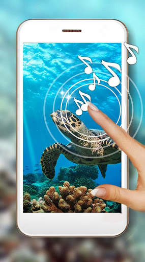 Turtles Sea Live Wallpaper screenshot 1