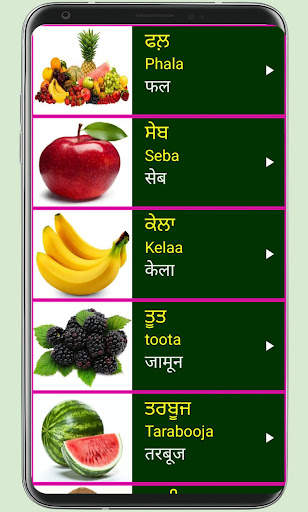 Learn Punjabi From Hindi 7 تصوير الشاشة