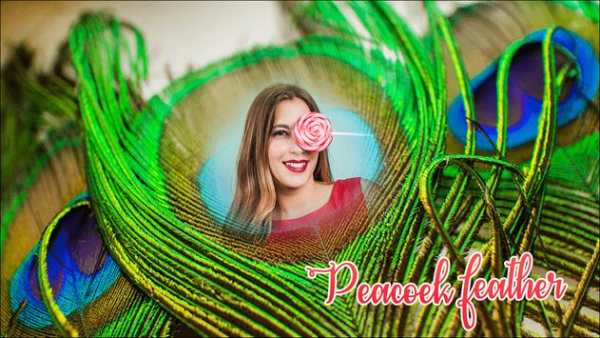 Peacock Photo Frames screenshot 2