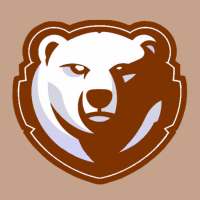 Bear VPN logo