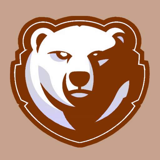 Bear VPN 2.1