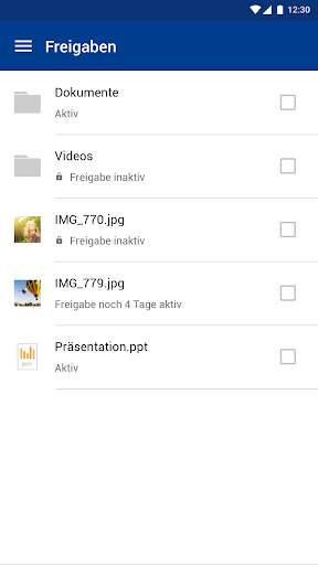 IONOS HiDrive screenshot 5