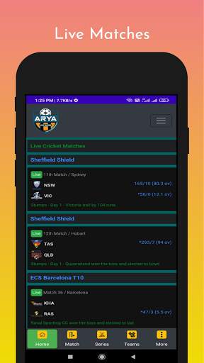 Arya - Live Cricket Score & Full Scoreboard screenshot 2