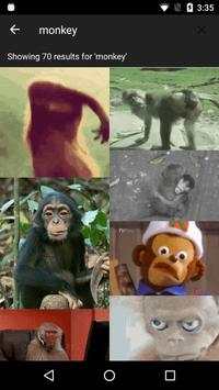 GIF Explorer - More gifs more fun screenshot 4