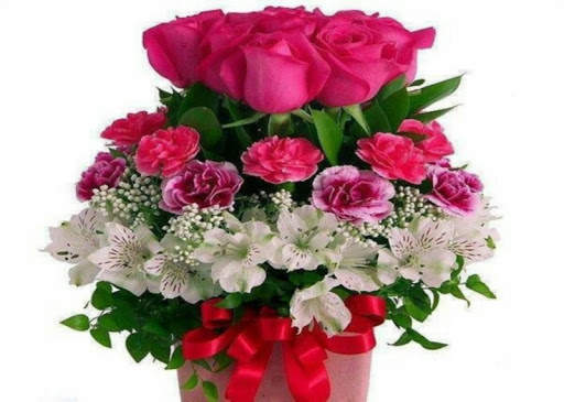 Wonderful Flowers Roses Animated images Gif 4 تصوير الشاشة