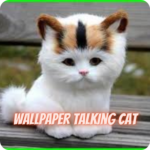 Walpaper Talking Cat icon