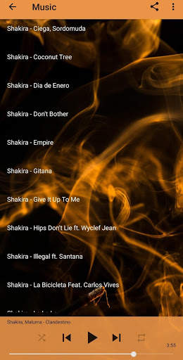 Shakira Music and Lyrics screenshot 3