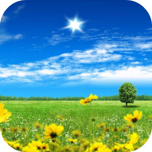 Summer Flowers Live Wallpaper 2.0