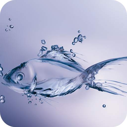 Fish Wallpaper HD 1.05