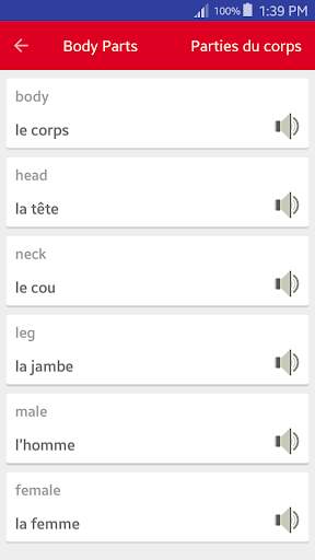 Learn French Vocabulary - speak french offline screenshot 4