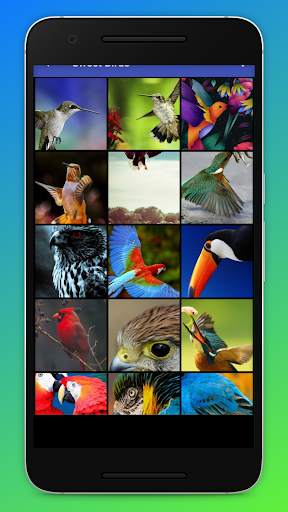 HD Bird Wallpapers screenshot 3