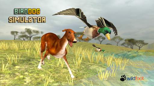 Bird Dog Simulator screenshot 2