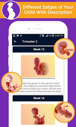 Pregnancy calculator, duedate screenshot 4