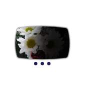 The Exposing Camera - Free 1.04