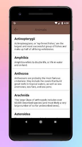 Animal World A-Z Collections screenshot 5