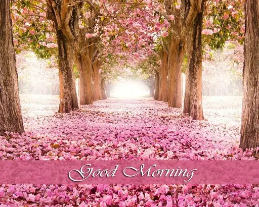 Good Morning HD Images screenshot 3