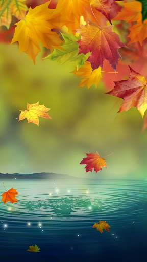 Beautiful wallpaper screenshot 5