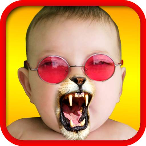 Face Fun - Photo Collage Maker 211229